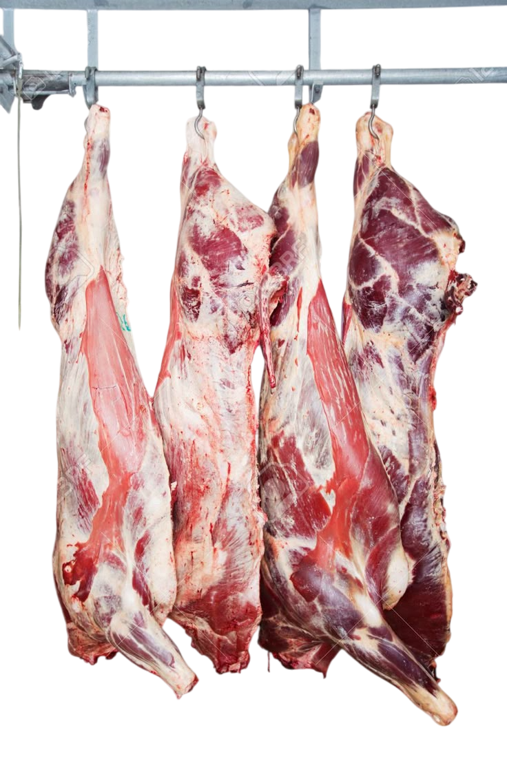 Carcasse de mouton / Unité